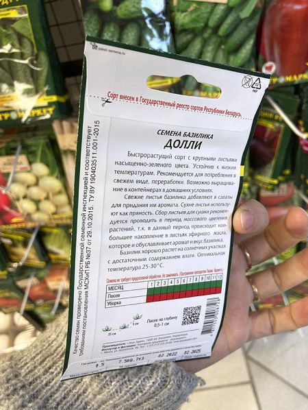 базилик Долли